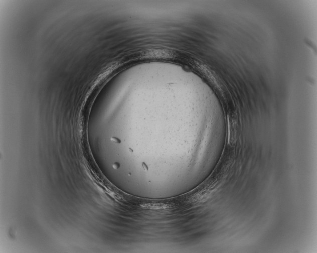 X0000097960435200804141031