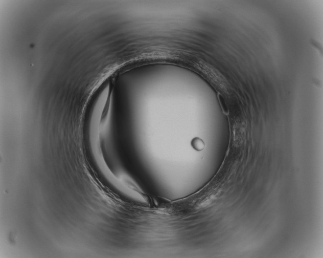 X0000097960436200804141031