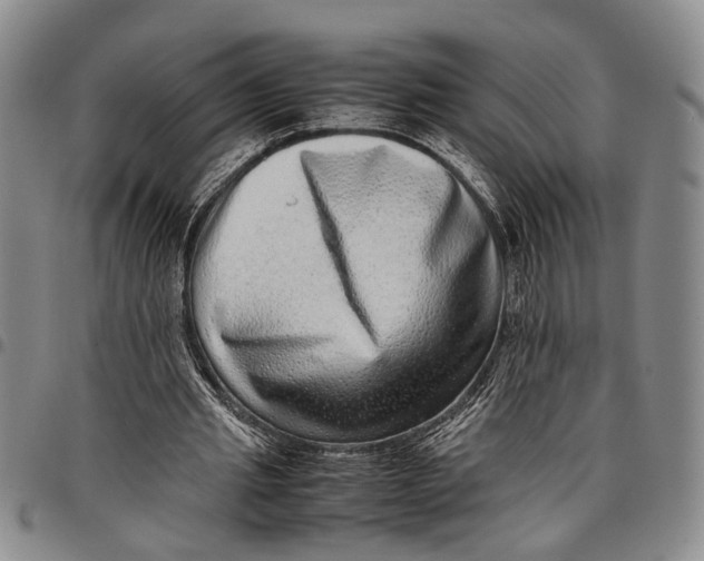 X0000097960437200804141031
