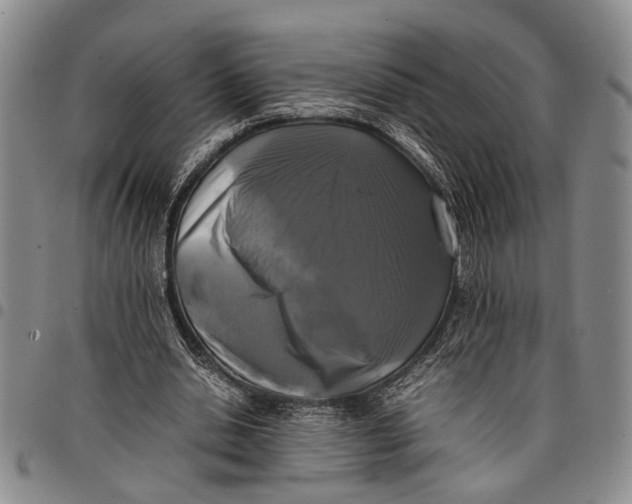 X0000097960438200804141031