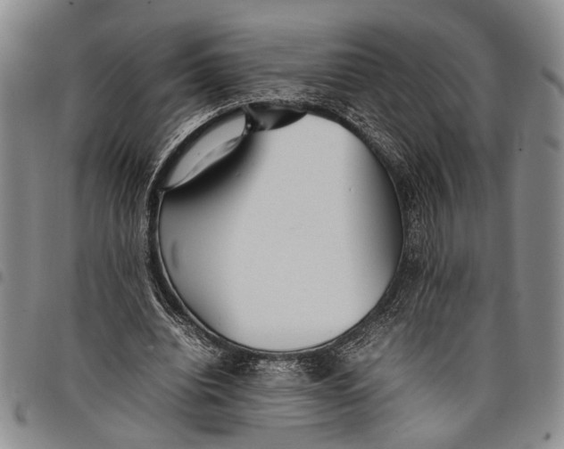 X0000097960440200804141031