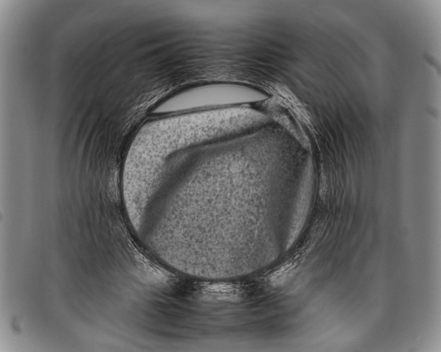 X0000097960441200804141031