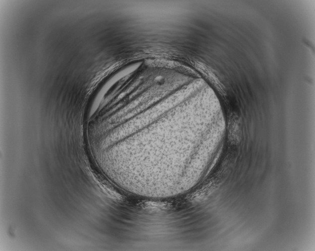 X0000097960442200804141031