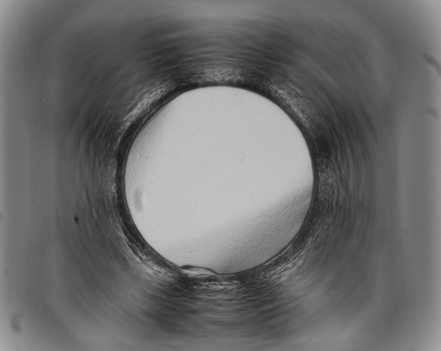 X0000097960443200804141031