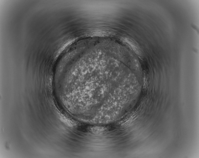 X0000097960444200804141031