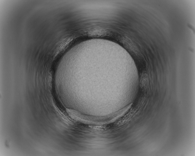 X0000097960448200804141031