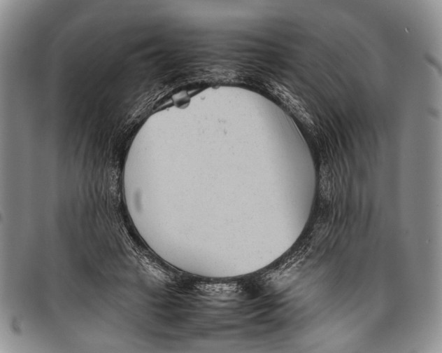 X0000097960449200804141031