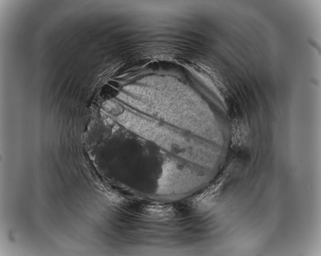 X0000097960453200804141031