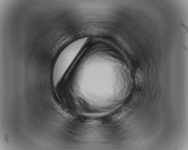 X0000097960454200804141031