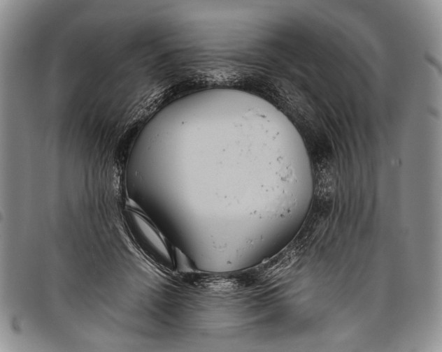X0000097960456200804141031