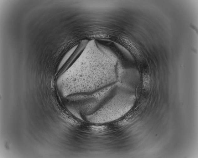 X0000097960457200804141031