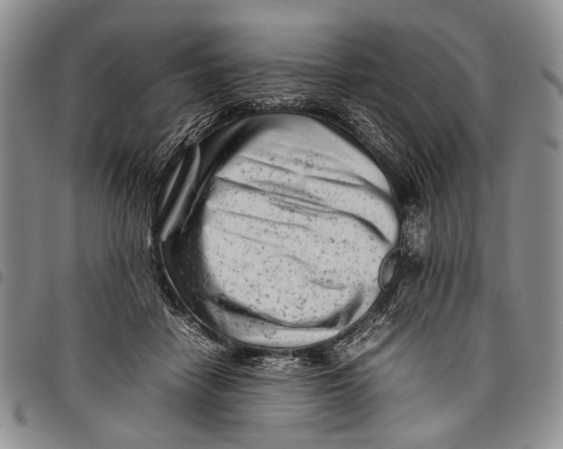 X0000097960458200804141031