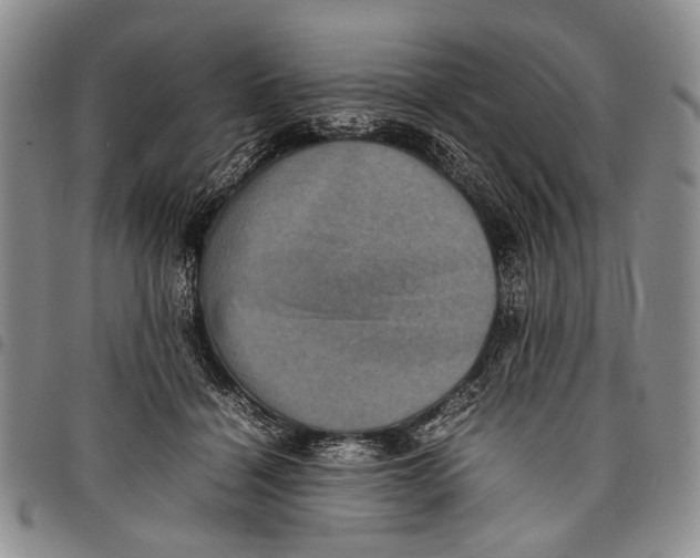 X0000097960460200804141032