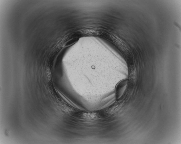 X0000097960469200804141032