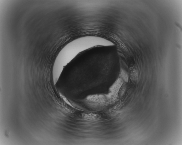 X0000097960471200804141032