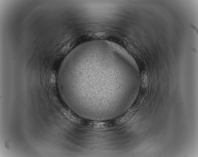 X0000097960472200804141032