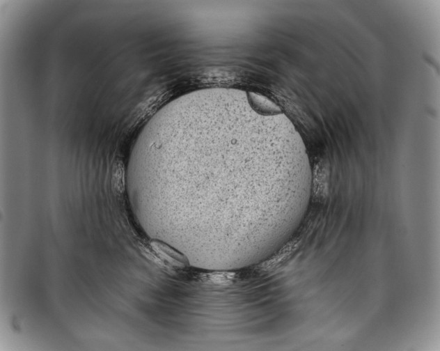 X0000097960474200804141032