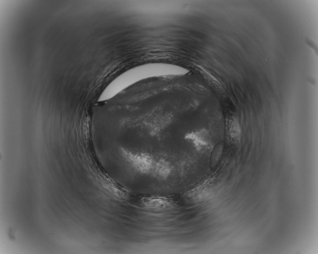 X0000097960475200804141032