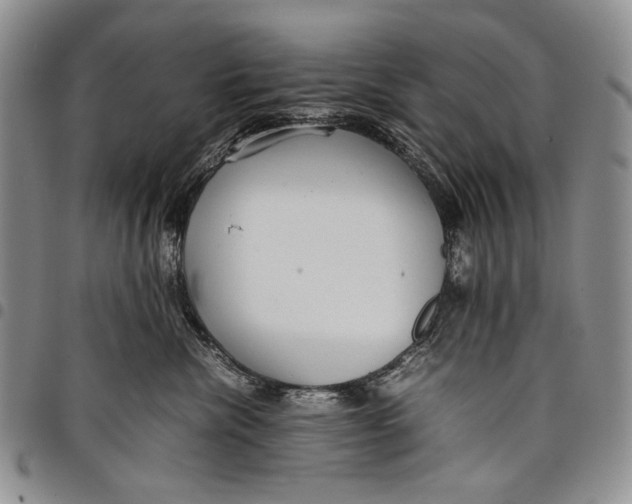 X0000097960476200804141032