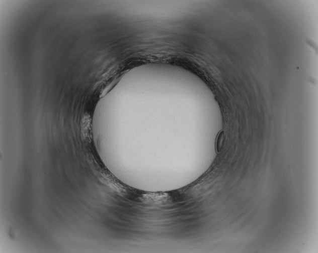 X0000097960480200804141032