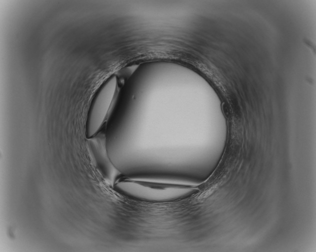 X0000097960481200804141031
