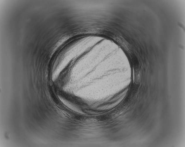 X0000097960483200804141031