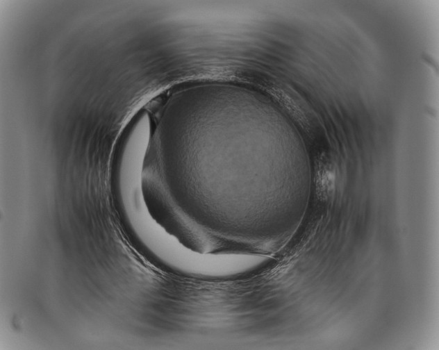 X0000097960484200804141031