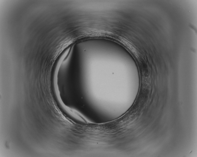 X0000097960485200804141031