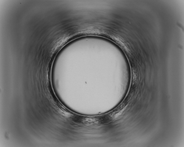 X0000097960487200804141031