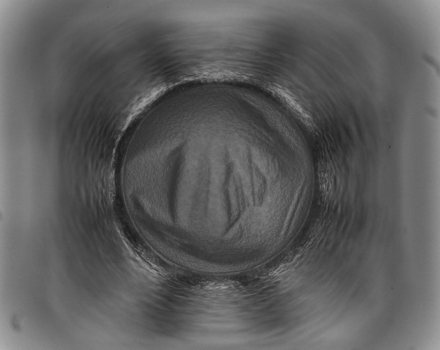 X0000097960488200804141031
