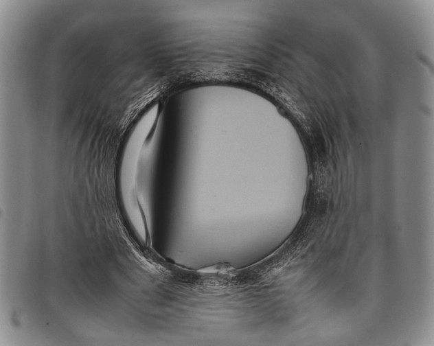 X0000097960489200804141031
