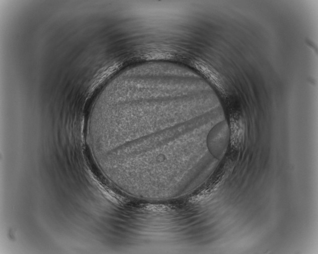 X0000097960490200804141031