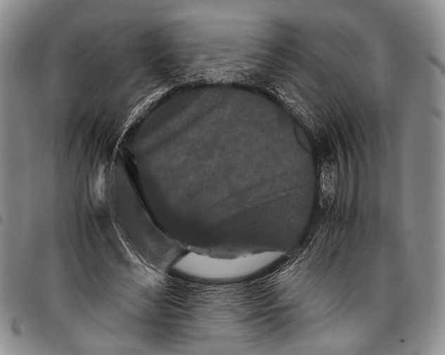 X0000097960492200804141031