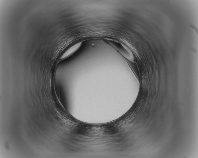 X0000097960493200804141031