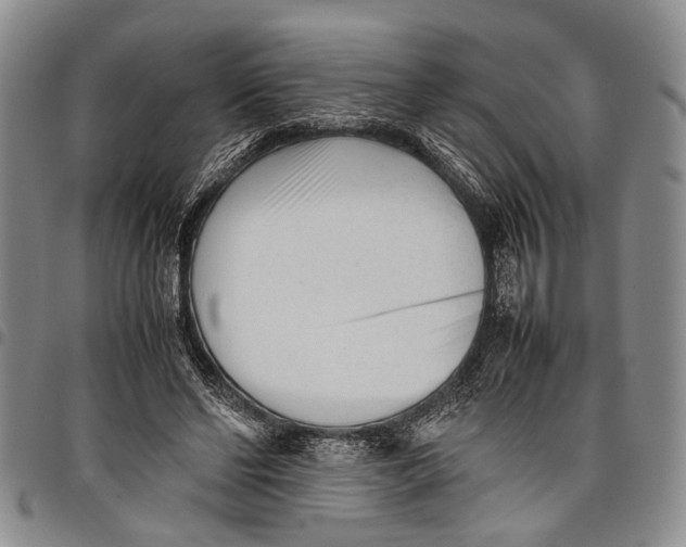 X0000097960494200804141031