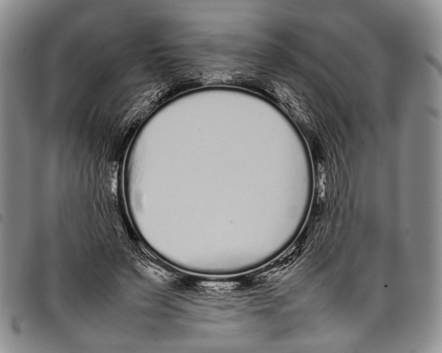 X0000097960495200804141031