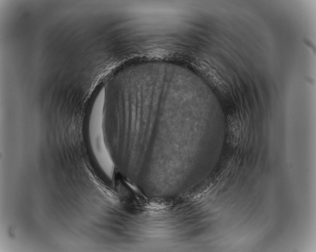 X0000097960496200804141031
