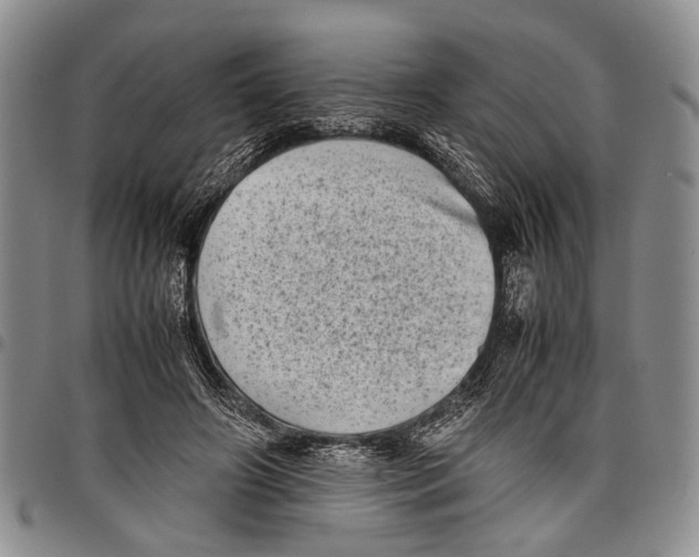 X0000097960498200804141031