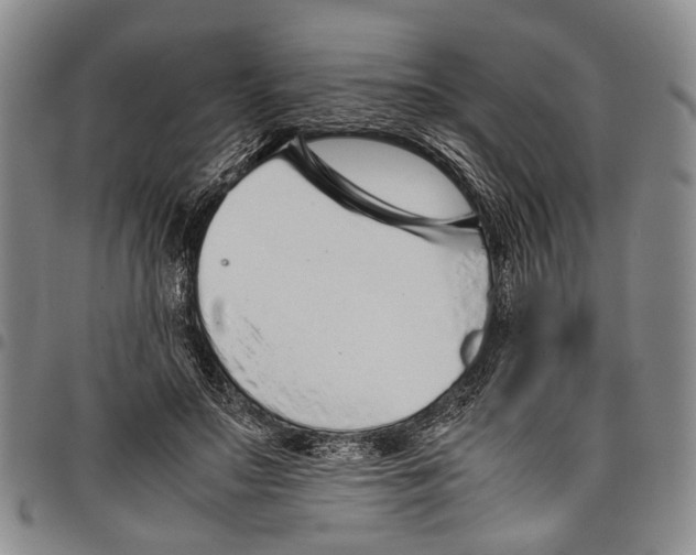 X0000097960499200804141031