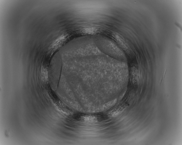 X0000097960500200804141031