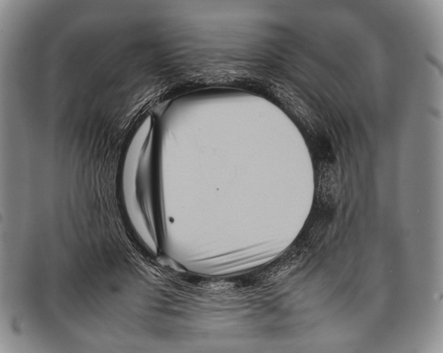 X0000097960501200804141031