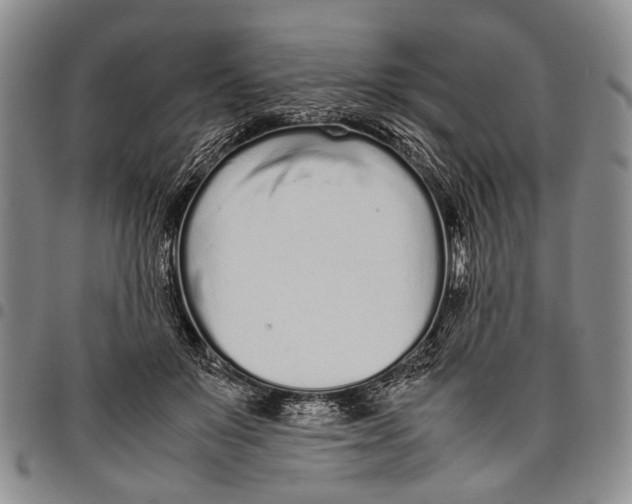 X0000097960503200804141031