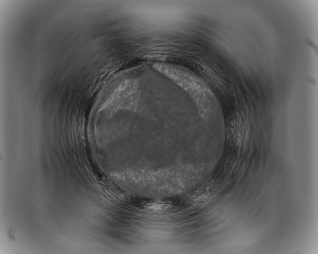 X0000097960504200804141030