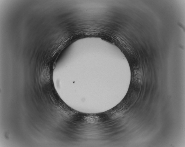 X0000097960508200804141030