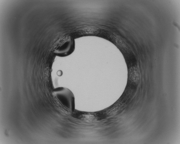 X0000097960509200804141030