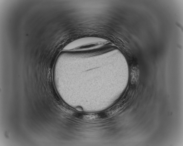 X0000097960511200804141030