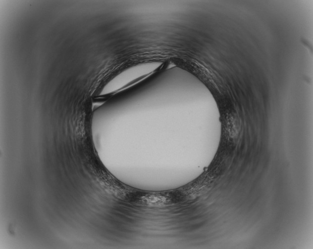 X0000097960512200804141030