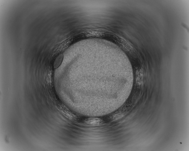 X0000097960514200804141030
