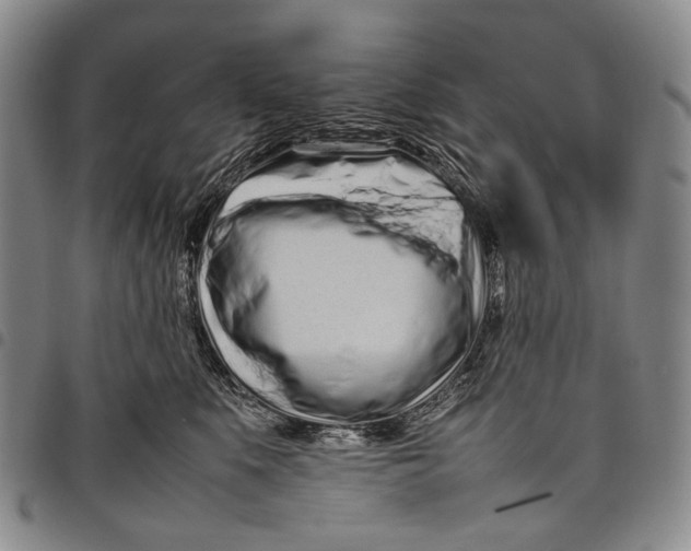 X0000097960519200804141030
