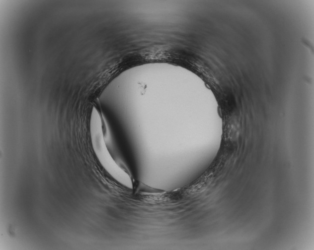 X0000097960521200804141030